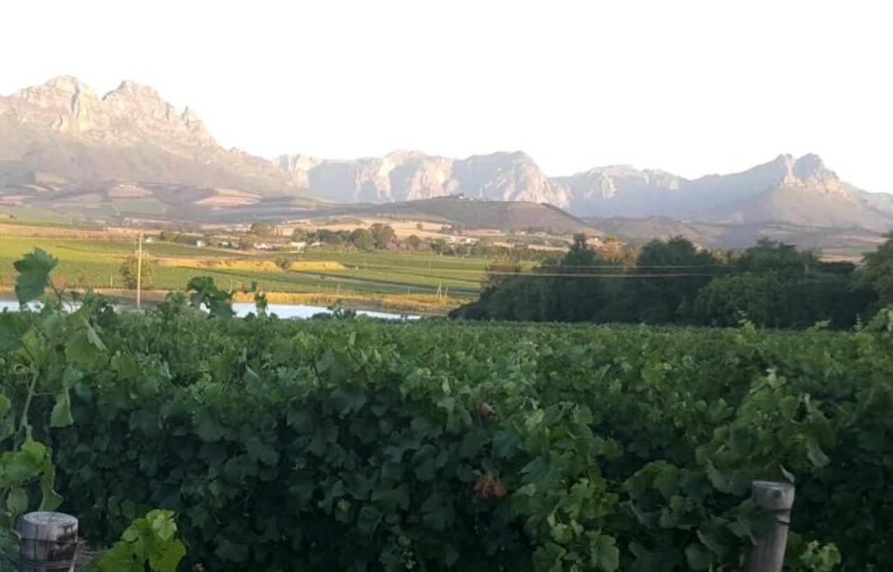Hotel Rouana Guest Farm Stellenbosch Exterior foto
