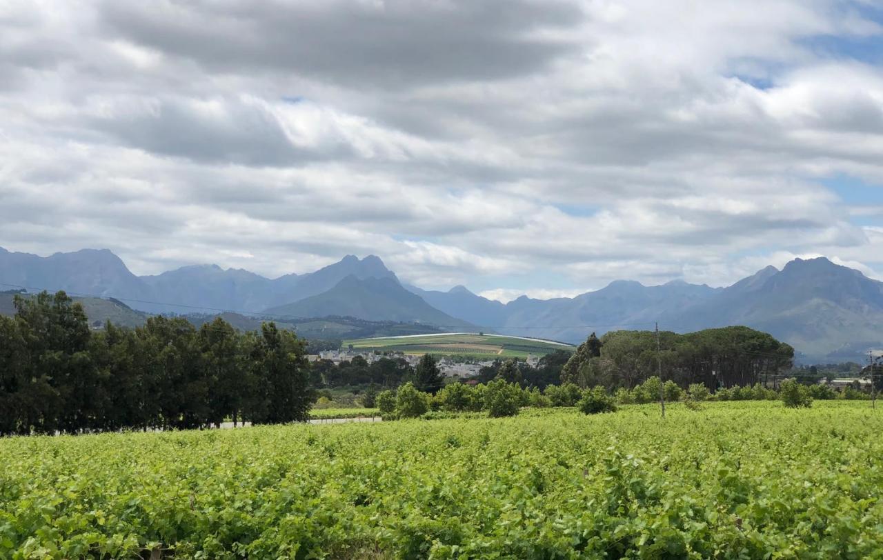 Hotel Rouana Guest Farm Stellenbosch Exterior foto